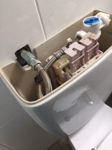 Leaking Toilet in Elanora Heights                          